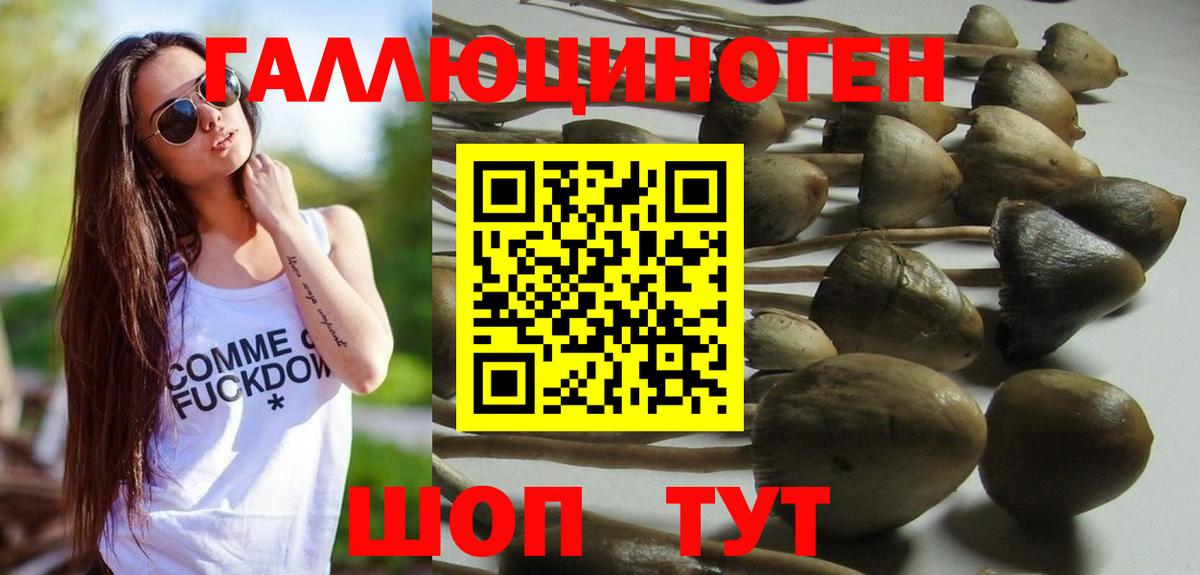 Галлюциногенные грибы ЛСД  Вход с VPN  Железноводск  Галлюциногенные грибы Psilocybine cubensis 